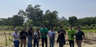 Empresa de ar-condicionado planta 50 mudas de árvores em SP