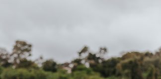 Guardiões Das Águas chega às plataformas digitais