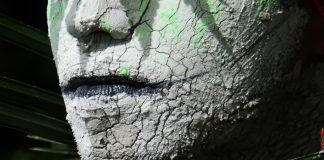 CPF SESC promove o seminário Perspectivas do Clima CPF SESC promove o seminário Perspectivas do Clima