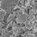 Botucatu: Biomaterial desenvolvido na Unesp se mostra capaz de acelerar a regeneração óssea