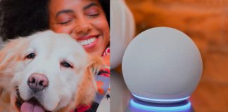 Alexa traz conteúdos sobre nutrição e saúde de cães e gatos Alexa traz conteúdos sobre nutrição e saúde de cães e gatos