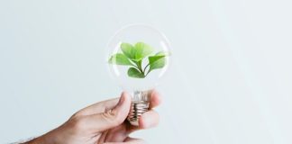 Empresas adotam gestão ambiental para conciliar lucro e conservação Empresas adotam gestão ambiental para conciliar lucro e conservação