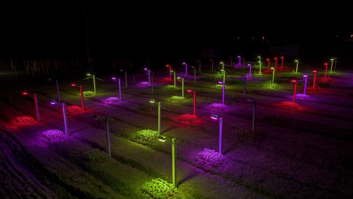 Intral apresenta projeto de iluminação indoor em congresso nos EUA Intral apresenta projeto de iluminação indoor em congresso nos EUA