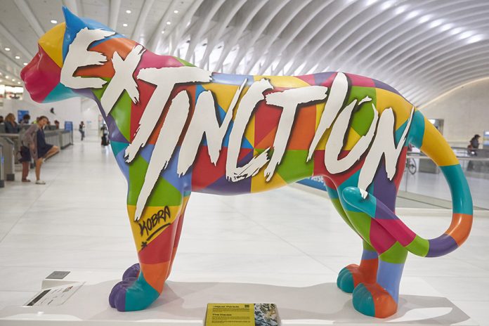 Jaguar Parade: mostra dedicada às onças-pintadas chega ao Rio de Janeiro em 2024 Jaguar Parade: mostra dedicada às onças-pintadas chega ao Rio de Janeiro em 2024