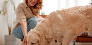 Como manter o alimento do pet sempre fresco?