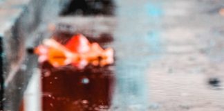 Temporada de chuvas acende alerta para doenças contagiosas