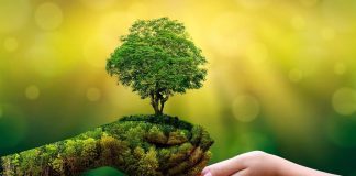 Sustentabilidade empresarial é uma necessidade no mundo dos negócios Sustentabilidade empresarial é uma necessidade no mundo dos negócios