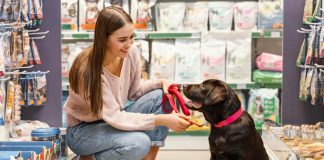 Mercado pet deve movimentar R$ 67,4 bi no Brasil em 2023 Mercado pet deve movimentar R$ 67,4 bi no Brasil em 2023