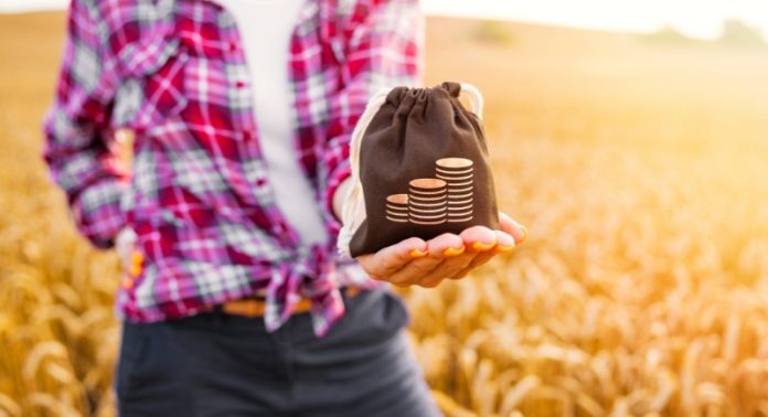 Estudo aponta frustração de empresas na busca por crédito