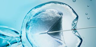 FIV para casais homoafetivos: funcionamento e opções