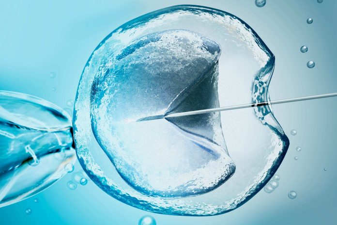 FIV para casais homoafetivos: funcionamento e opções FIV para casais homoafetivos: funcionamento e opções