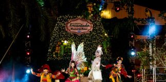 Decoração de Natal em Amparo traz musical natalino inédito