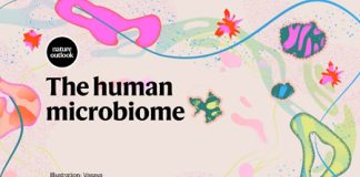 Springer Nature e Yakult Honsha lançam site exclusivo