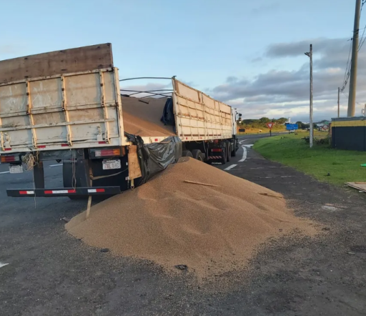 Paraguaios são presos com maconha dentro de caminhão durante abordagem na Rodovia Castello Branco, em Pardinho
