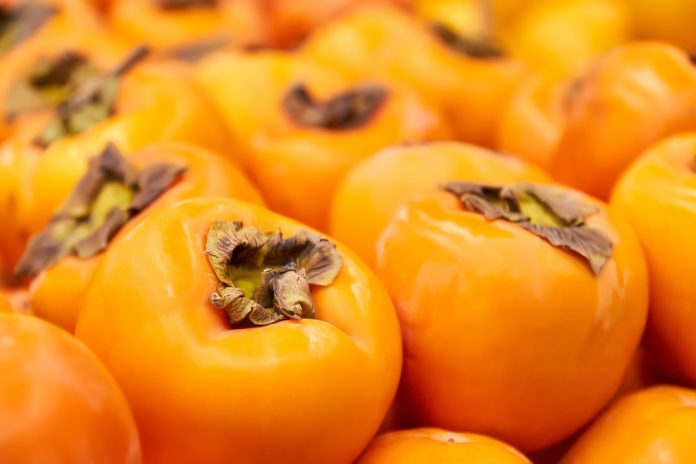 Campanha do Caqui Persimon vai até Janeiro Campanha do Caqui Persimon vai até Janeiro