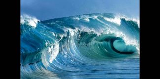 Reciclar plásticos do mar é preservar o ecossistema marinho