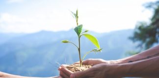 Sucessão é desafio para empresas agrícolas familiares