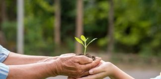 Pilares do ESG podem ser aplicados na construção civil