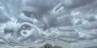 Malu Mesquita faz exposição em homenagem aos 470 anos de São Paulo Malu Mesquita faz exposição em homenagem aos 470 anos de São Paulo