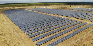 Após crescimento em 2023, GDSUN terá nova CEO em 2024