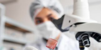 Após estudos, terapias biológicas podem avançar ortopedia