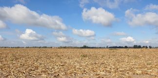 Crise na importação de potássio pode afetar o Brasil Crise na importação de potássio pode afetar o Brasil