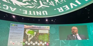 Setores ligados à descarbonização da economia representarão R$ 293 bi até 2030