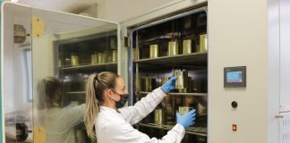 Brasilata ganha prêmio internacional em sustentabilidade