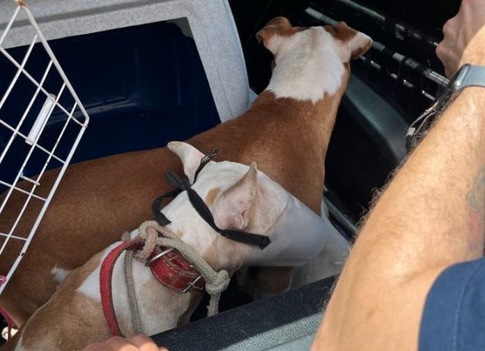 WhatsApp-Image-2024-01-03-at-16.52.45-2-e1704381706220