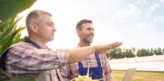 Agronegócio: governança corporativa é desafio para startups Agronegócio: governança corporativa é desafio para startups