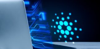 Brasileiro mira mercado americano de TI e IA Brasileiro mira mercado americano de TI e IA