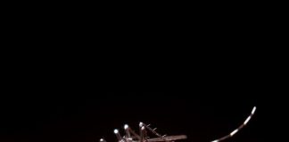 Epidemia de dengue se alastra no Rio de Janeiro