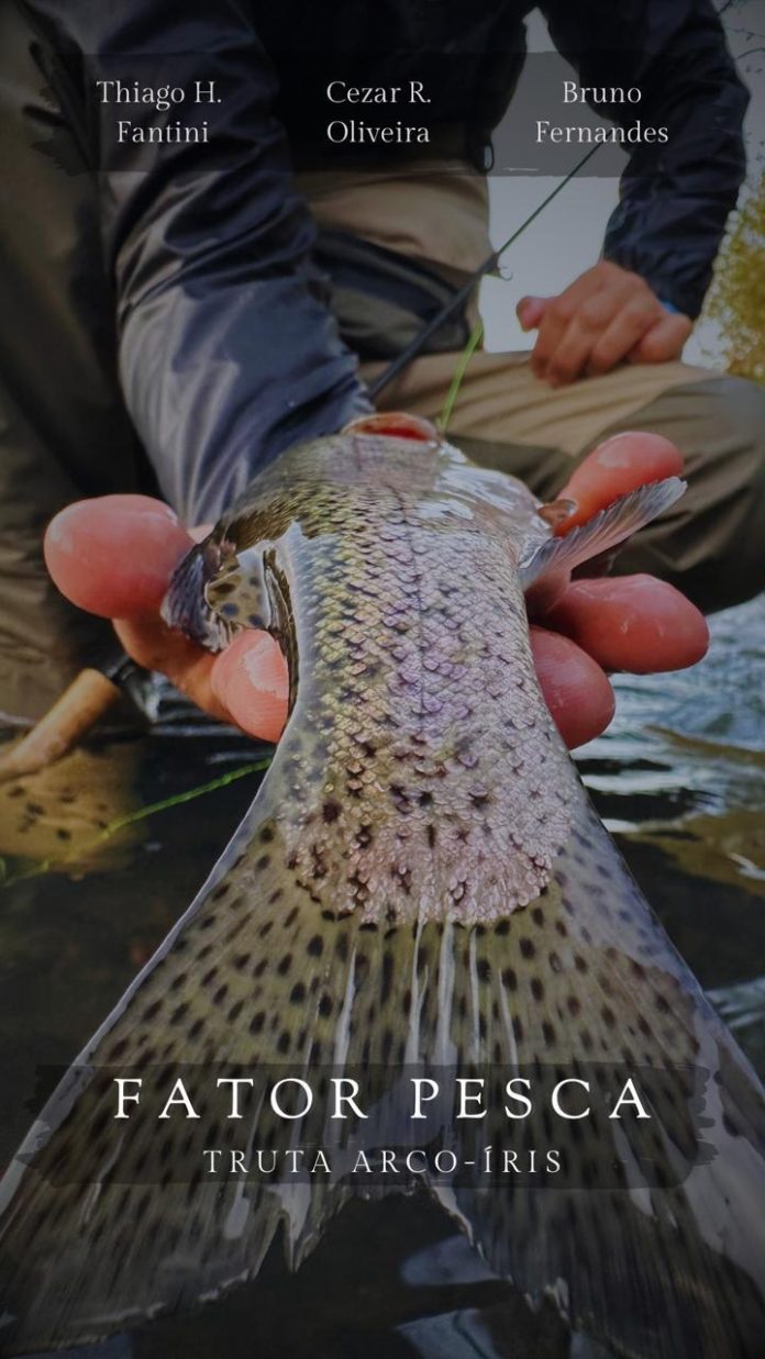 Documentário brasileiro sobre a pesca da truta vence Festival na Espanha Documentário brasileiro sobre a pesca da truta vence Festival na Espanha