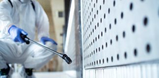 Dedetização correta evita proliferação de pragas urbanas