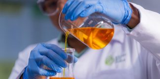 Amazônia brasileira detém a energia do futuro