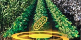 Show Safra e Farm Show impulsionam turismo mato-grossense Show Safra e Farm Show impulsionam turismo mato-grossense