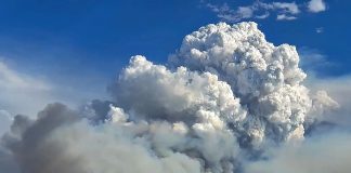 Novo Fundo Clima é aprovado com R$ 10,4 bi para projetos