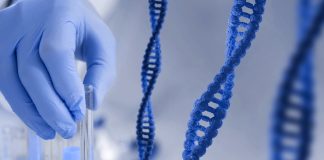 Tecnologia traz avanços à medicina de precisão