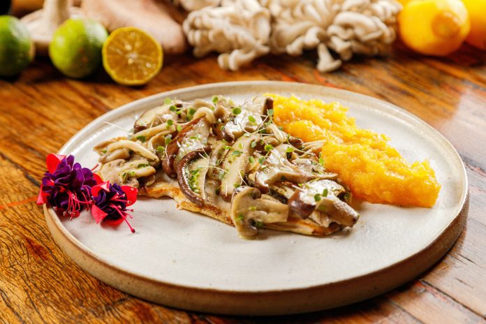 Festival Quatro Estações chega a Santo Antônio do Pinhal Festival Quatro Estações chega a Santo Antônio do Pinhal