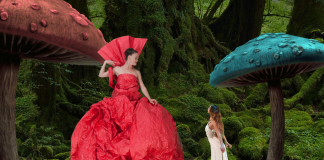 Temporada Dellarte 2024 tem Momix, Parsons e Ópera de Pequim