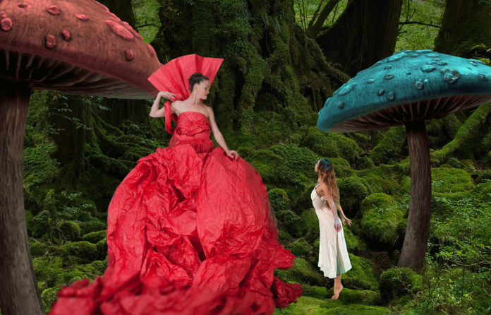 Temporada Dellarte 2024 tem Momix, Parsons e Ópera de Pequim Temporada Dellarte 2024 tem Momix, Parsons e Ópera de Pequim