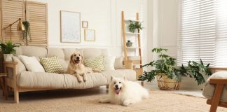 Plataforma transforma mercado Imobiliário com ação social