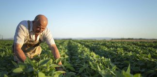 II Simpósio Internacional do agro traz novas perspectivas no combate ao câncer