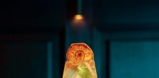 MONIN anuncia abertura de inscrições de campeonato global para bartenders