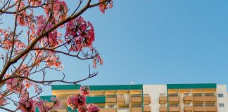 Como Olímpia pretende atrair 6 milhões de visitantes em 2024