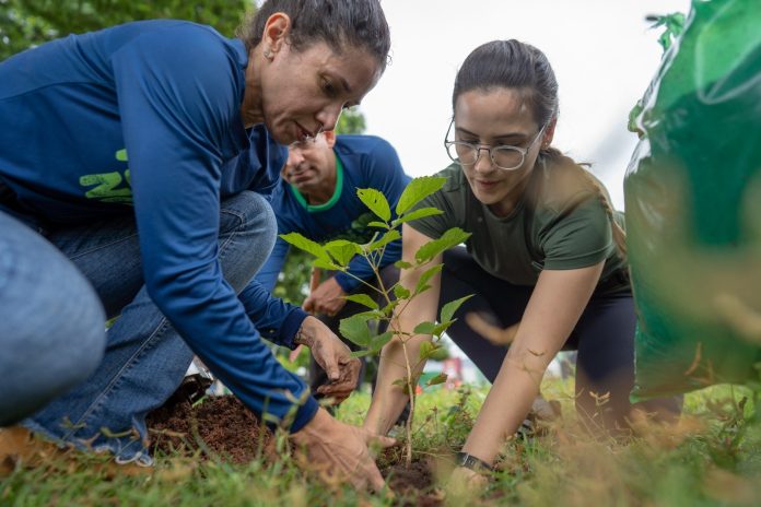 Nova Acrópole celebra o Dia da Terra com ações voluntárias Nova Acrópole celebra o Dia da Terra com ações voluntárias