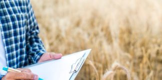 Propostas sobre mudanças no ITR tramitam no Congresso Propostas sobre mudanças no ITR tramitam no Congresso