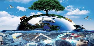 Busca por alternativas sustentáveis ao plástico é uma prioridade mundial