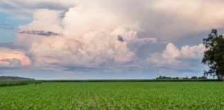 Agronegócio impulsiona turismo corporativo no interior do Mato Grosso