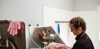 Petshop e strip malls: fusão de gigantes é benéfica Petshop e strip malls: fusão de gigantes é benéfica